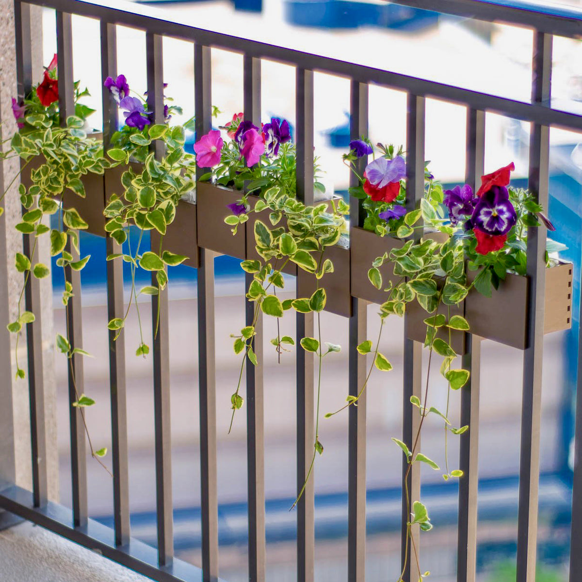plant pots for railings Sprout Railing Planter
