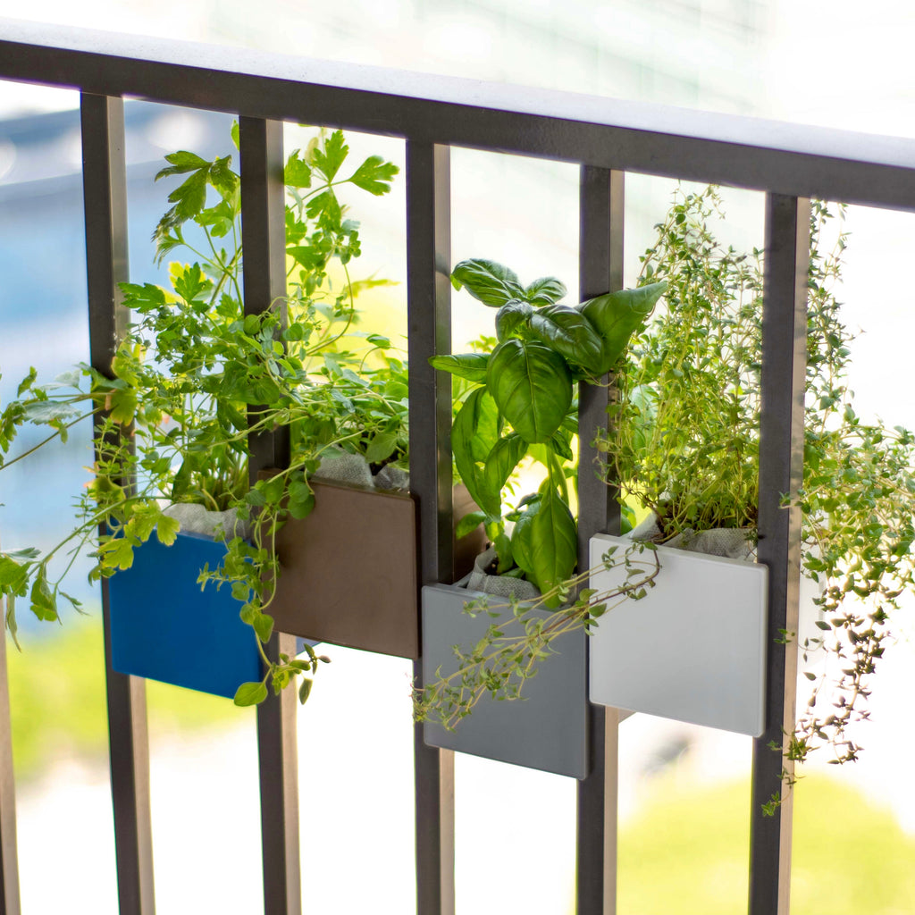 Maximizing Your Space: Urban Balcony Herb Garden with Sprout Planters