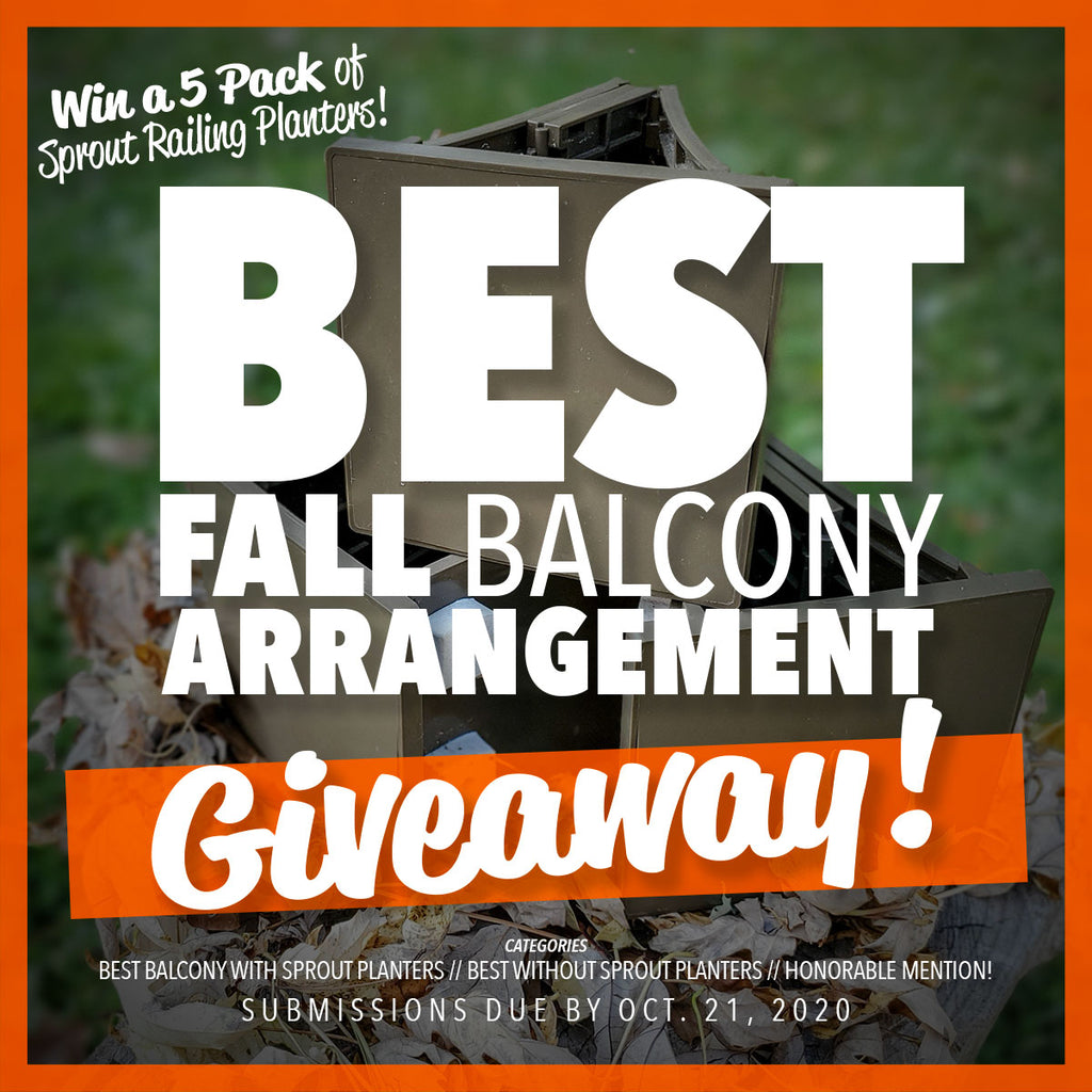 Fall-Themed Balcony Arrangement Giveway 2020!