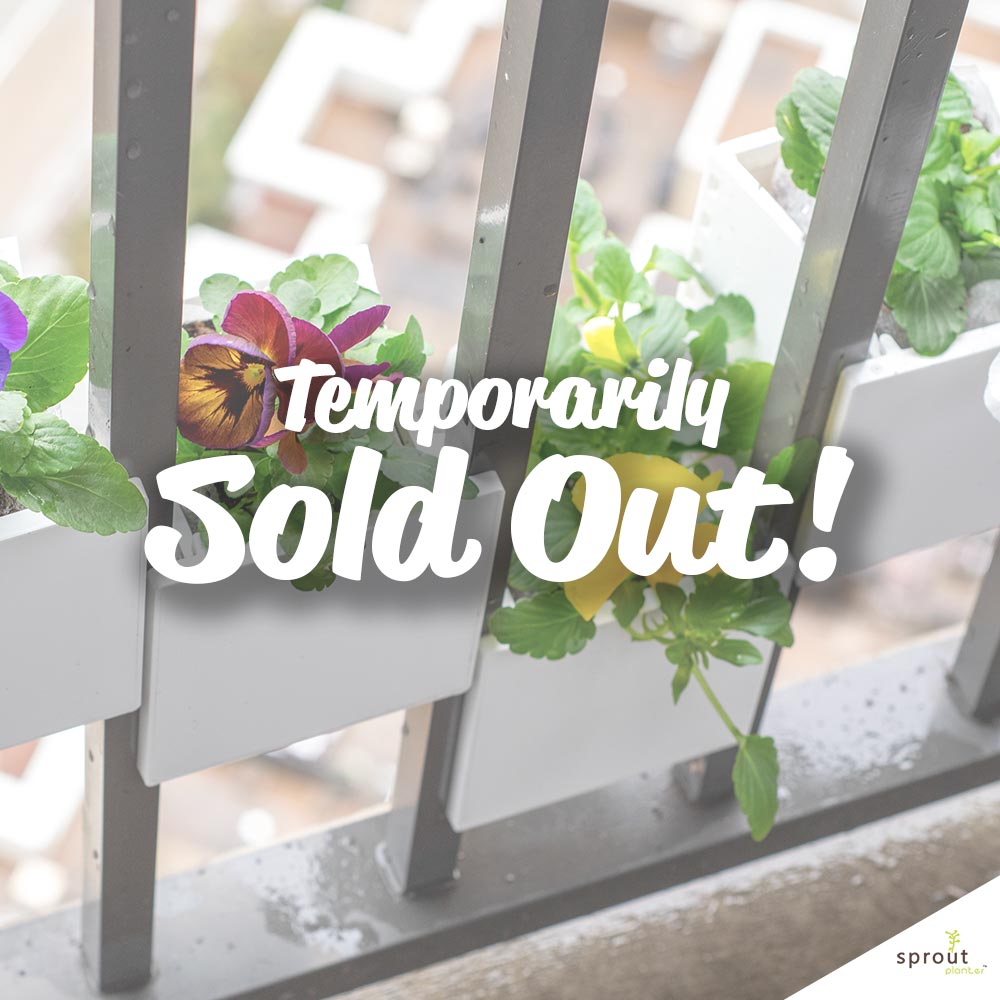 We've Temporarily Sold Out of our WHITE Railing Planters!