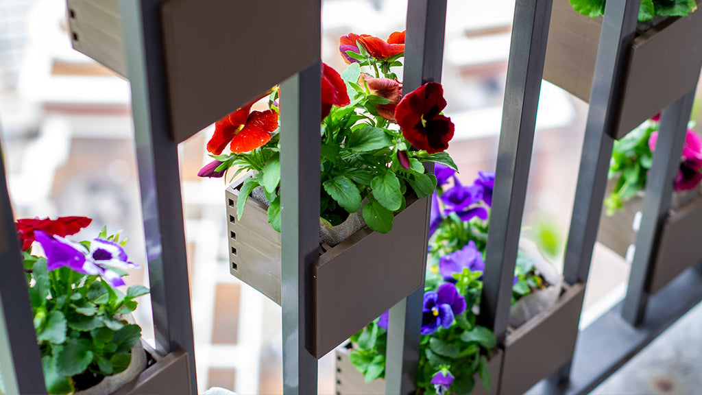 Brown Sprout Railing Planters with Purple annd Red Flowers on Small Balcony