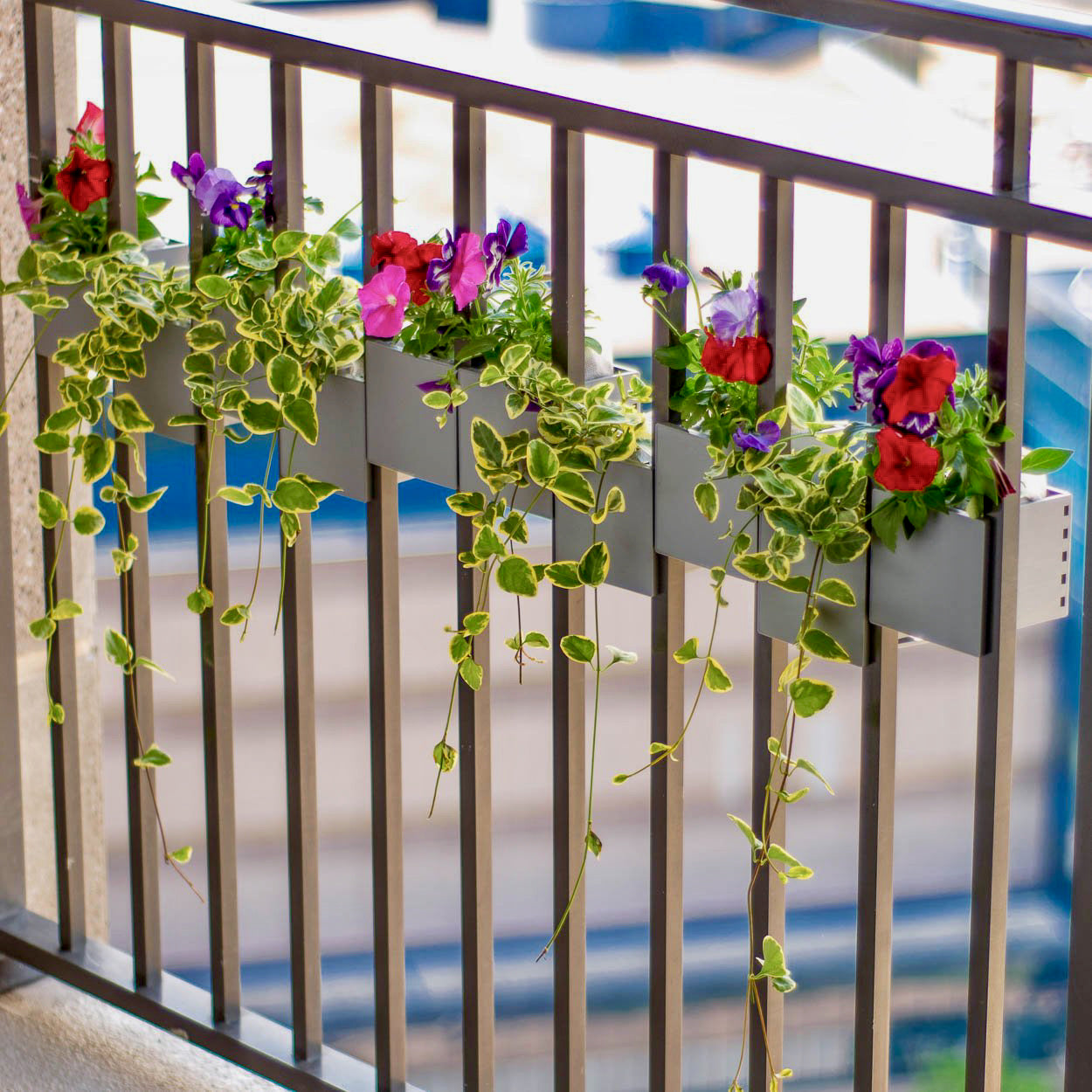 10 Balcony Railing Planters  Full Garden Coverage | Sprout  Sprout Planter