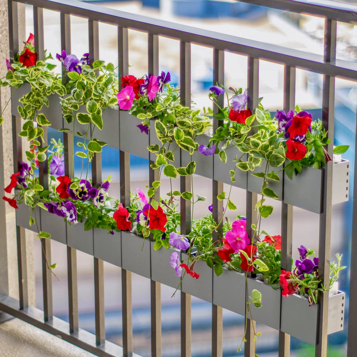 Sprout Railing Planter - 20 Pack