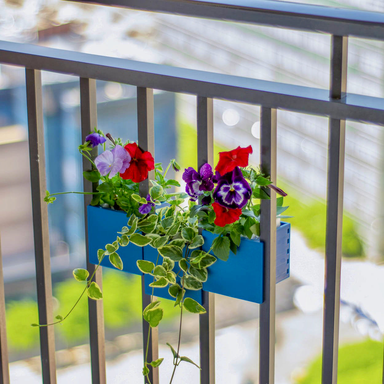 fertilizing hanging plants Balcony Herb Garden Starter – 3 Railing Planters