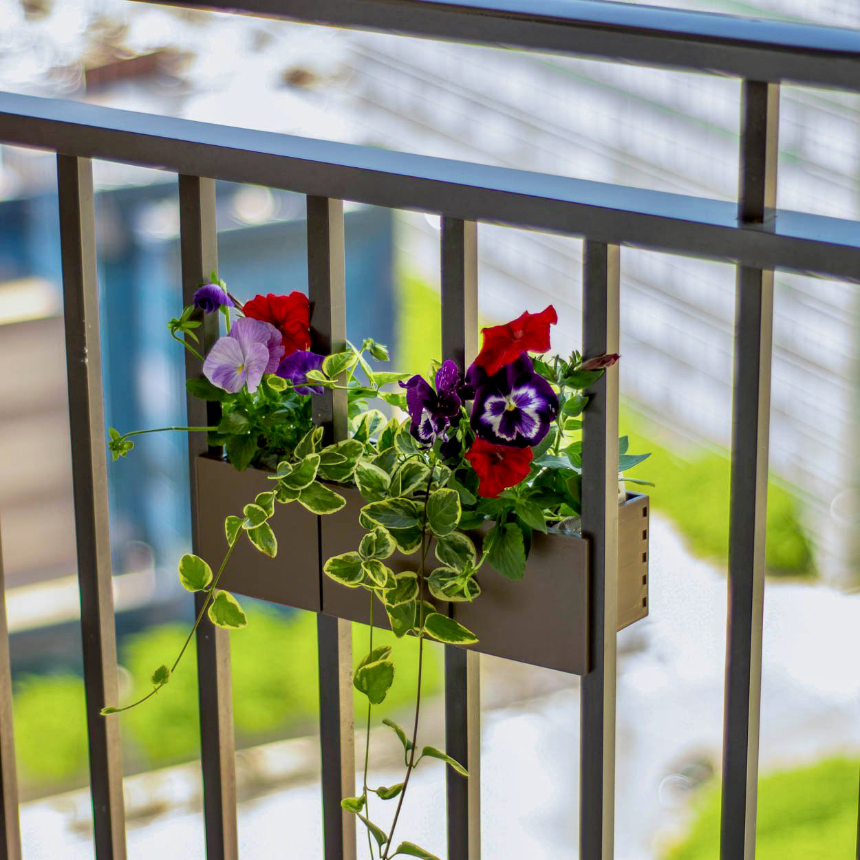 plants for railing pots Balcony Herb Garden Starter – 3 Railing Planters