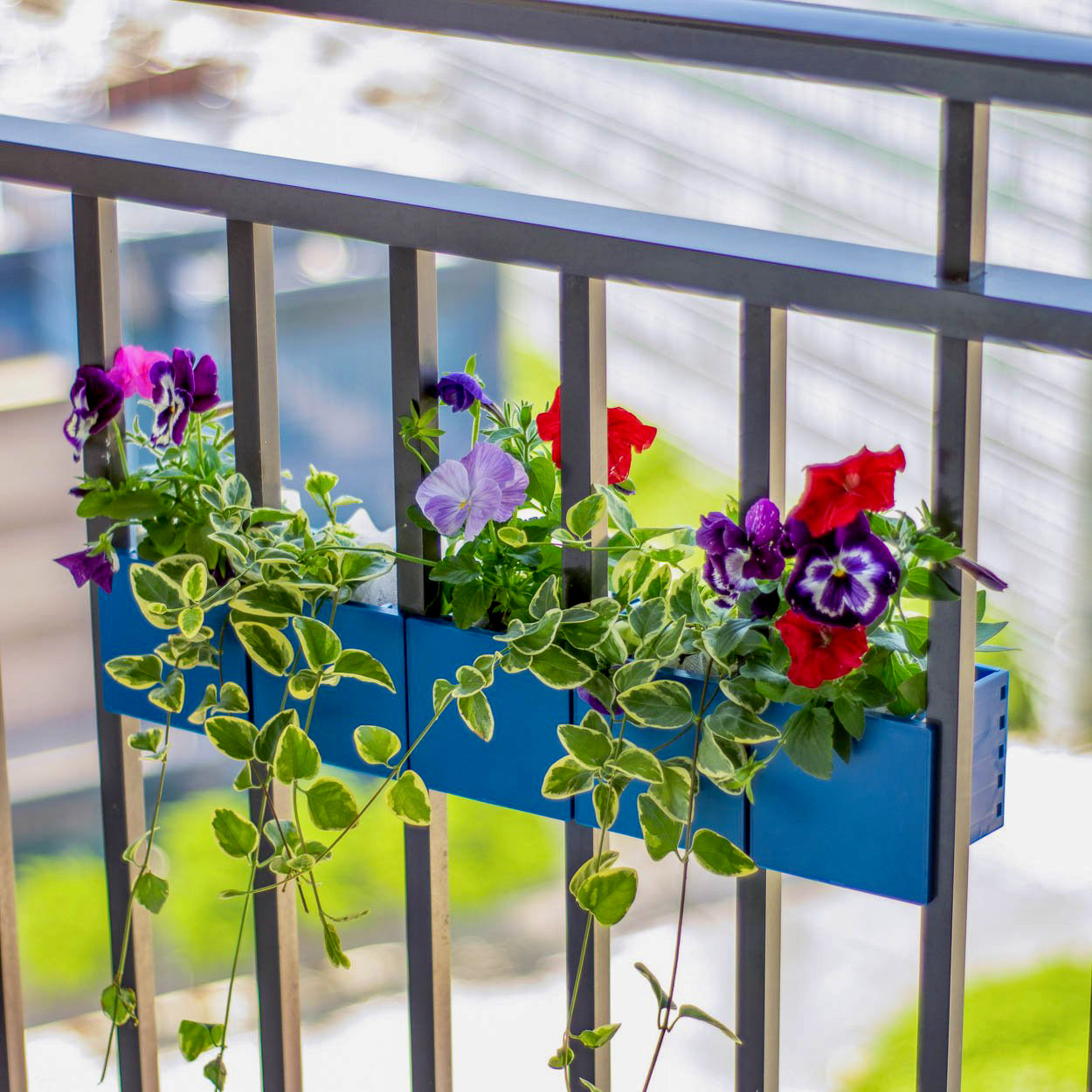 over balcony plant pots 5 Balcony Railing Planters – Transform Your Outdoor Space – Sprout Planter